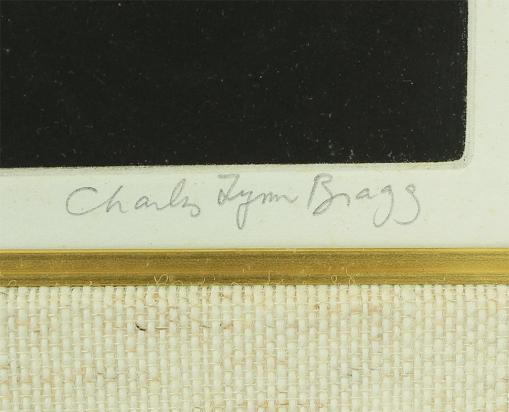 Charles Lynn Bragg (b1952) Framed Woodblock Print / "TWINS (DX)" Signed and numbered by the artist 23/30" NW240 - Image 10