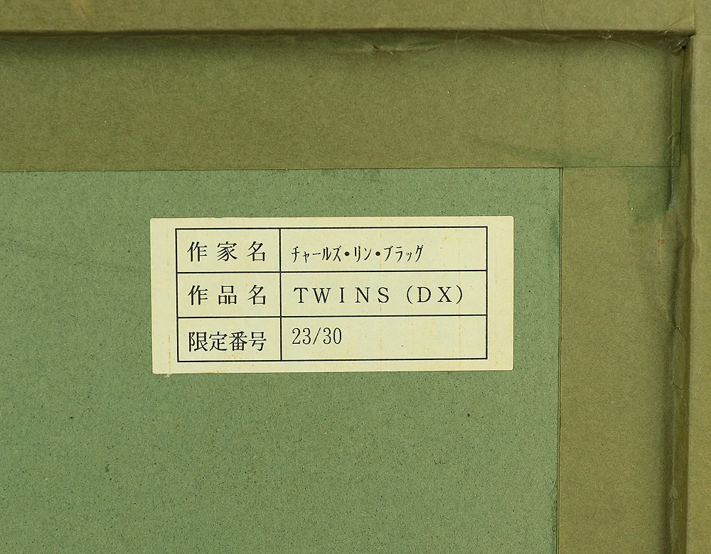 Charles Lynn Bragg (b1952) Framed Woodblock Print / "TWINS (DX)" Signed and numbered by the artist 23/30" NW240 - Image 12