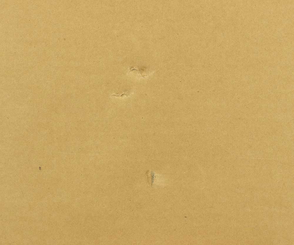 Charles Lynn Bragg (b1952) Framed Woodblock Print / "TWINS (DX)" Signed and numbered by the artist 23/30" NW240 - Image 17