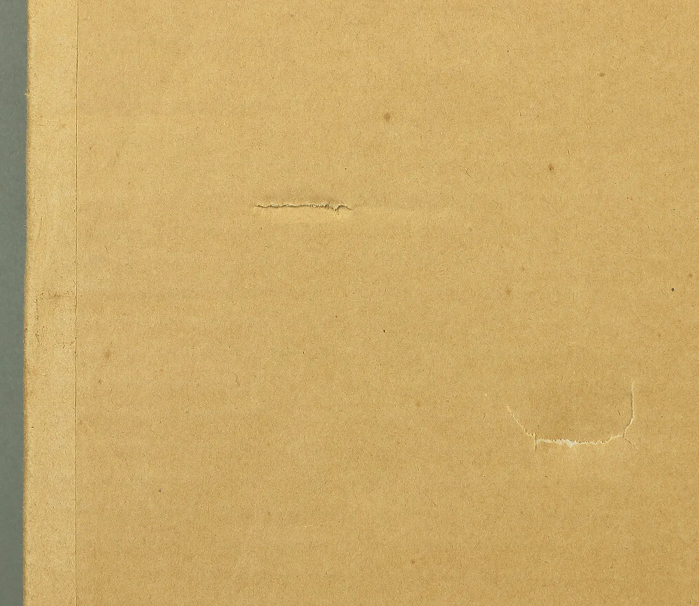 Charles Lynn Bragg (b1952) Framed Woodblock Print / "TWINS (DX)" Signed and numbered by the artist 23/30" NW240 - Image 19