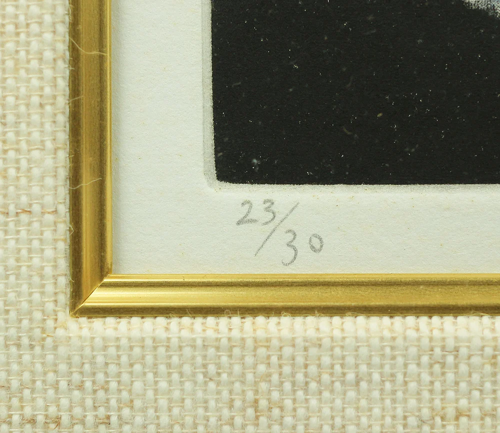 Charles Lynn Bragg (b1952) Framed Woodblock Print / "TWINS (DX)" Signed and numbered by the artist 23/30" NW240 - Image 9