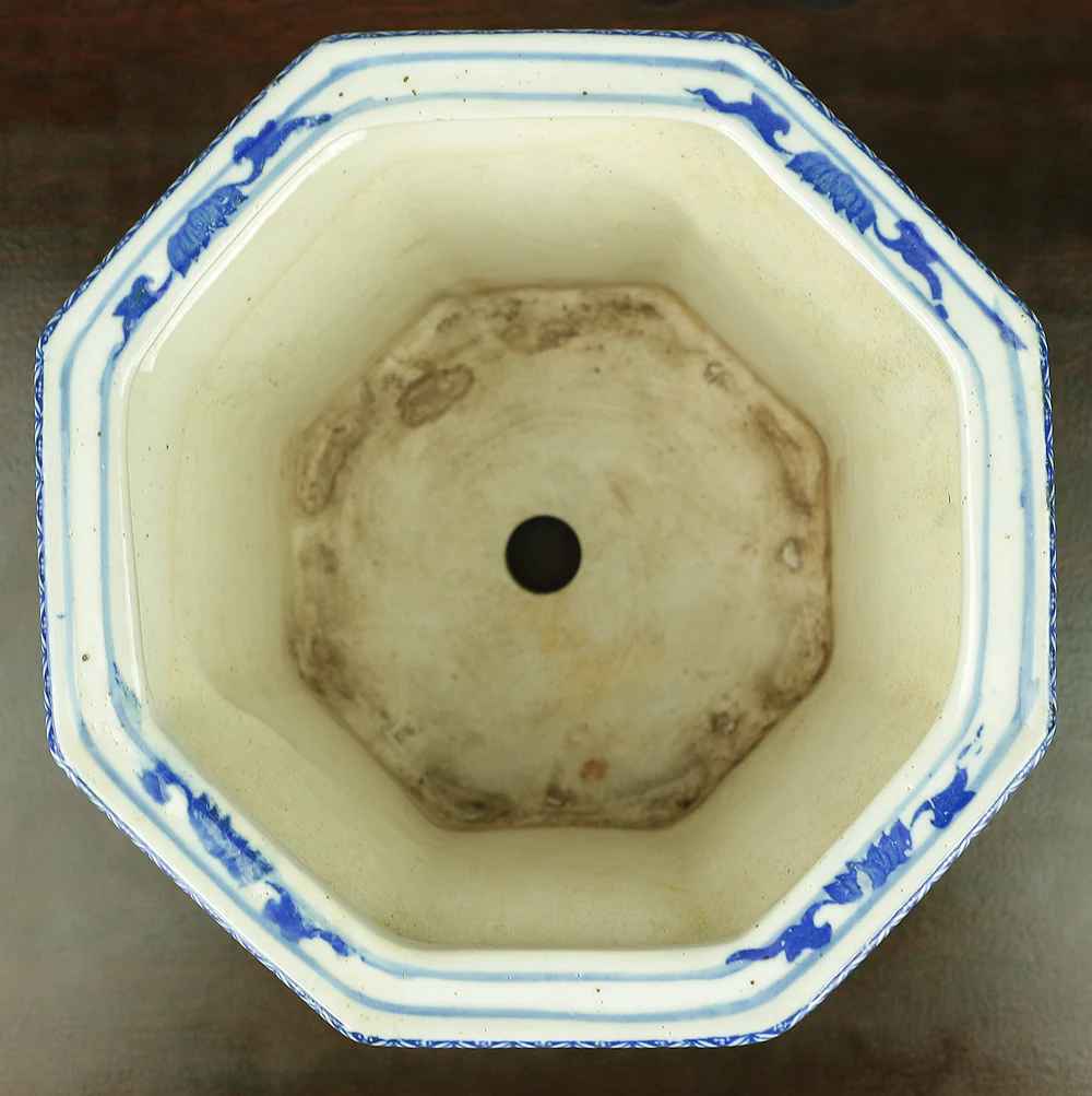 Chinese Sometsuke Rectangle Shikunshi (Four classic plants) Bonsai Pot VA562 - Image 14