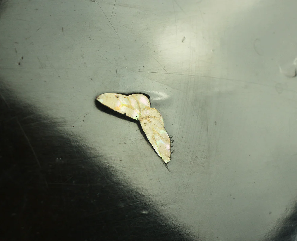 'Chrysanthemum and Butterfly' Inlaid Raden Mother of Pearl Black Lacquer Wooden Incense Burner Stand Flower Stand Bonsai Stand VA306 - Image 18