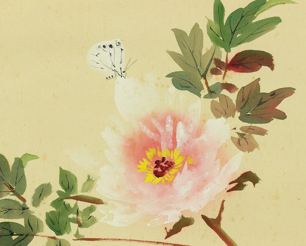 今井景樹 IMAI KEIJU Japanese art kakejiku kakemono  wall hanging scroll Peony & White Butterfly Original wooden box 1891~1967, Shijo school I559 - Image 6