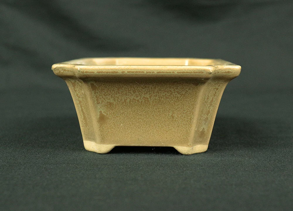 盆栽鉢 Japanese Small Bonsai Pot Pottery 190g 4.8" W x 1.7" H x 3.6" D V127 / Japan Pine tree Moss Plants Molding to imitate natural landscape - Image 3
