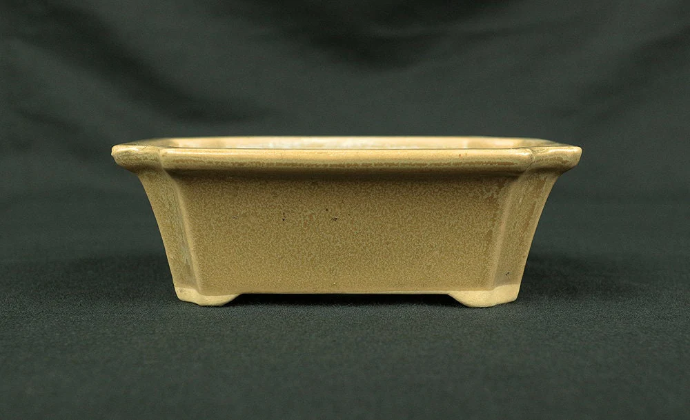 盆栽鉢 Japanese Small Bonsai Pot Pottery 190g 4.8" W x 1.7" H x 3.6" D V127 / Japan Pine tree Moss Plants Molding to imitate natural landscape - Image 4