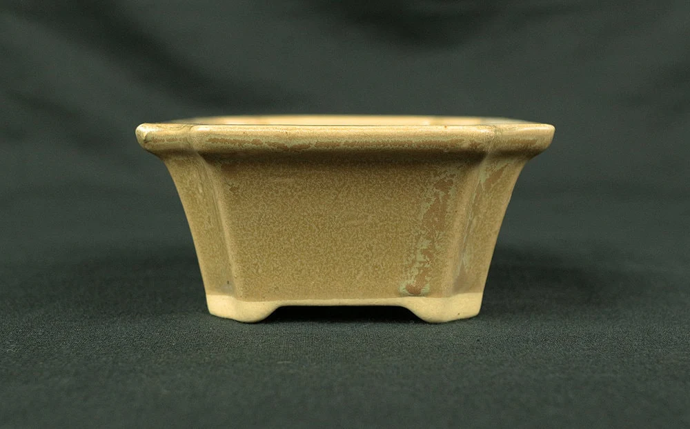 盆栽鉢 Japanese Small Bonsai Pot Pottery 190g 4.8" W x 1.7" H x 3.6" D V127 / Japan Pine tree Moss Plants Molding to imitate natural landscape - Image 5