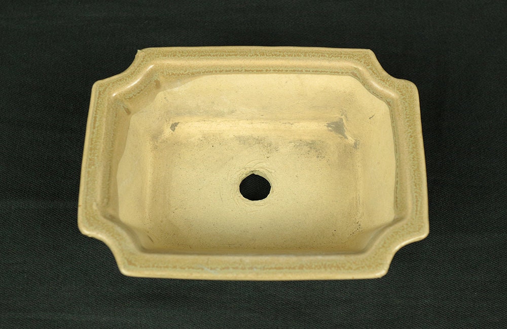 盆栽鉢 Japanese Small Bonsai Pot Pottery 190g 4.8" W x 1.7" H x 3.6" D V127 / Japan Pine tree Moss Plants Molding to imitate natural landscape - Image 6