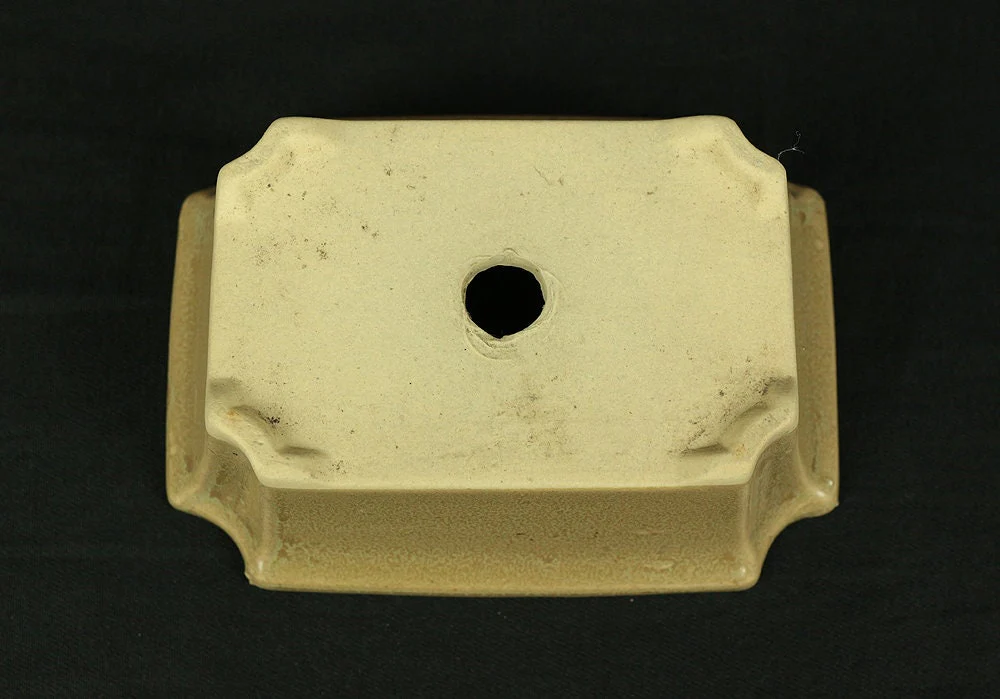 盆栽鉢 Japanese Small Bonsai Pot Pottery 190g 4.8" W x 1.7" H x 3.6" D V127 / Japan Pine tree Moss Plants Molding to imitate natural landscape - Image 7