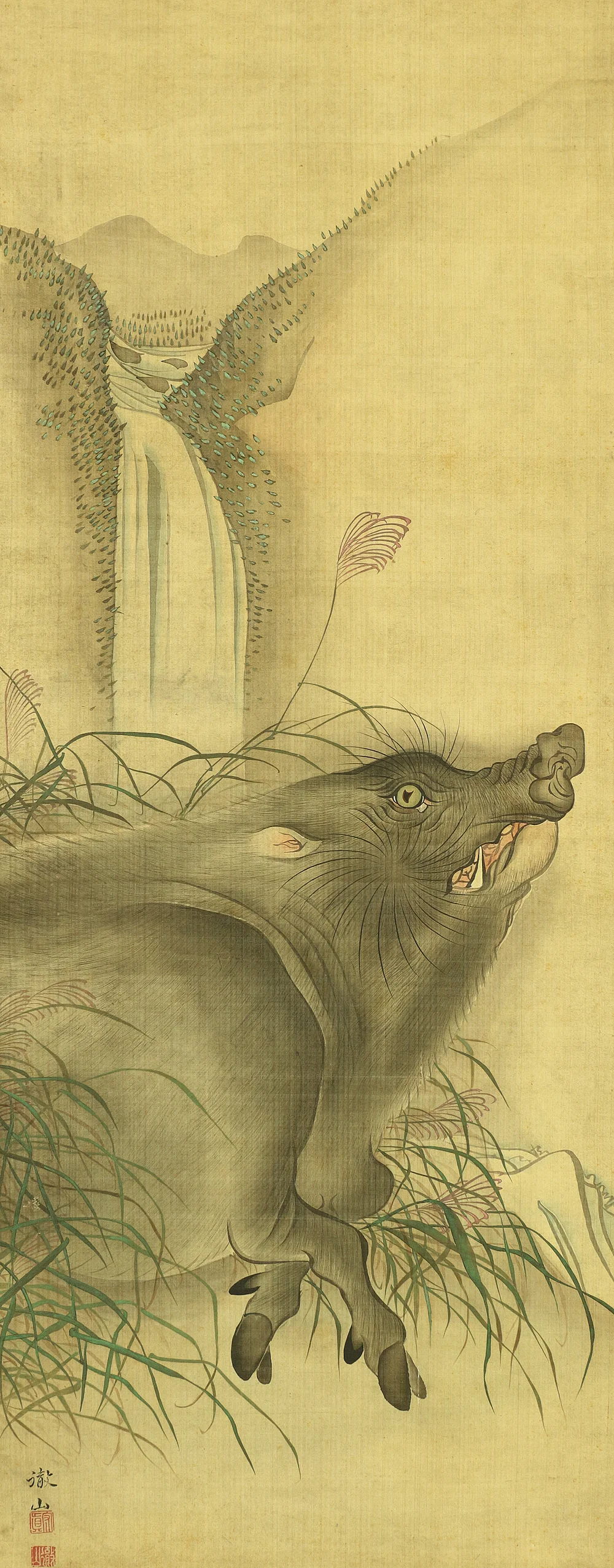 森徹山 MORI TETSUZAN 1775~1841 "Wild Bore & Waterfall" with Box  / Japanese antique art kakejiku kakemono wall hanging scroll painting - Image 5