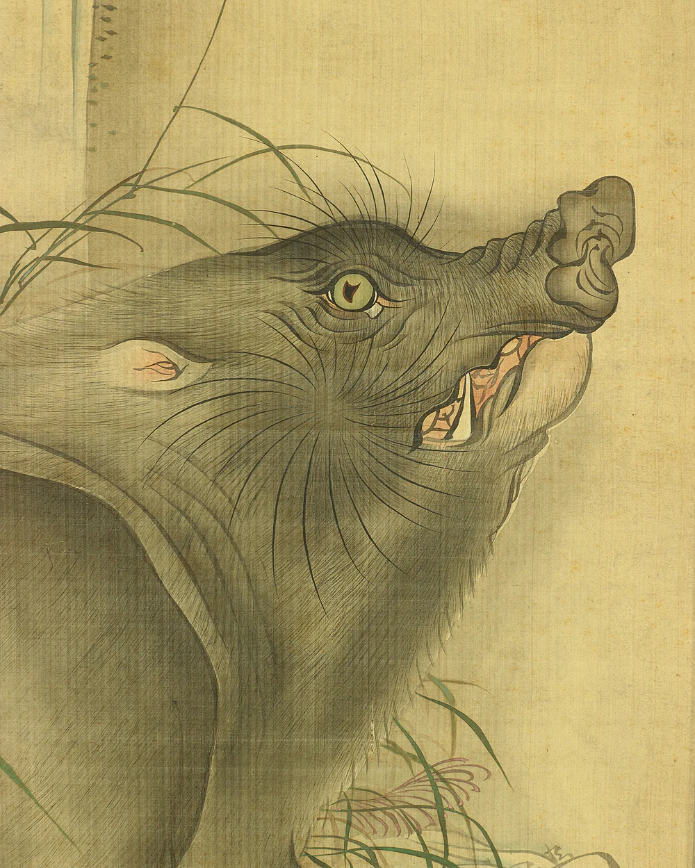 森徹山 MORI TETSUZAN 1775~1841 "Wild Bore & Waterfall" with Box  / Japanese antique art kakejiku kakemono wall hanging scroll painting - Image 7