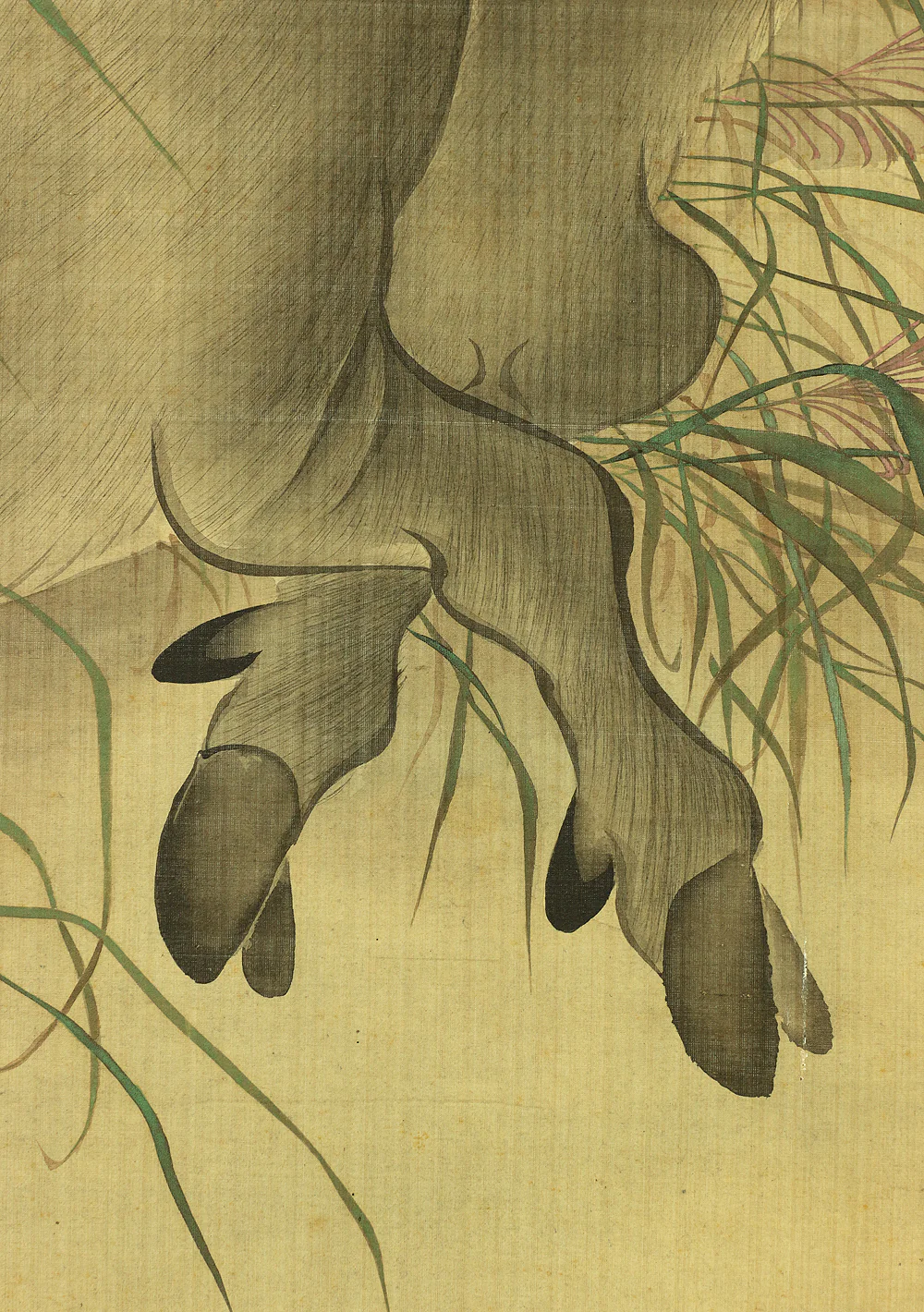 森徹山 MORI TETSUZAN 1775~1841 "Wild Bore & Waterfall" with Box  / Japanese antique art kakejiku kakemono wall hanging scroll painting - Image 8