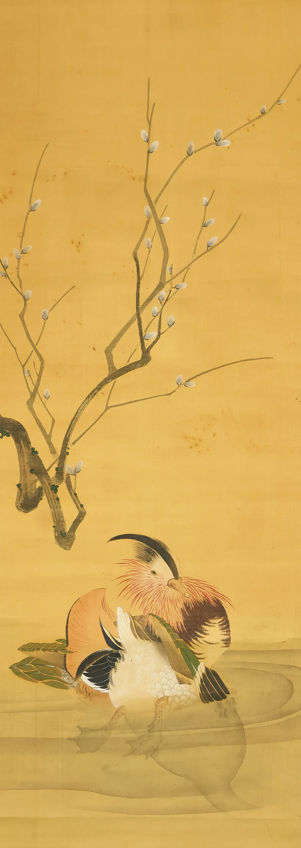 Pussy Willow, Mandarin Duck Diving into Water / Japanese art kakejiku kakemono wall hanging scroll with Box RE353 - Image 4