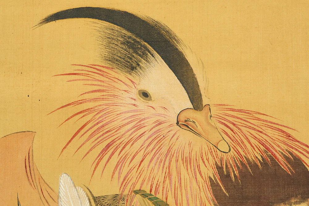 Pussy Willow, Mandarin Duck Diving into Water / Japanese art kakejiku kakemono wall hanging scroll with Box RE353 - Image 8