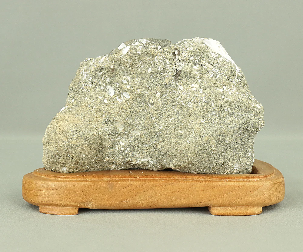 Suiseki - Toki stone Shell fossil with Wooden Stand collected in 1974 VA222 - Image 11