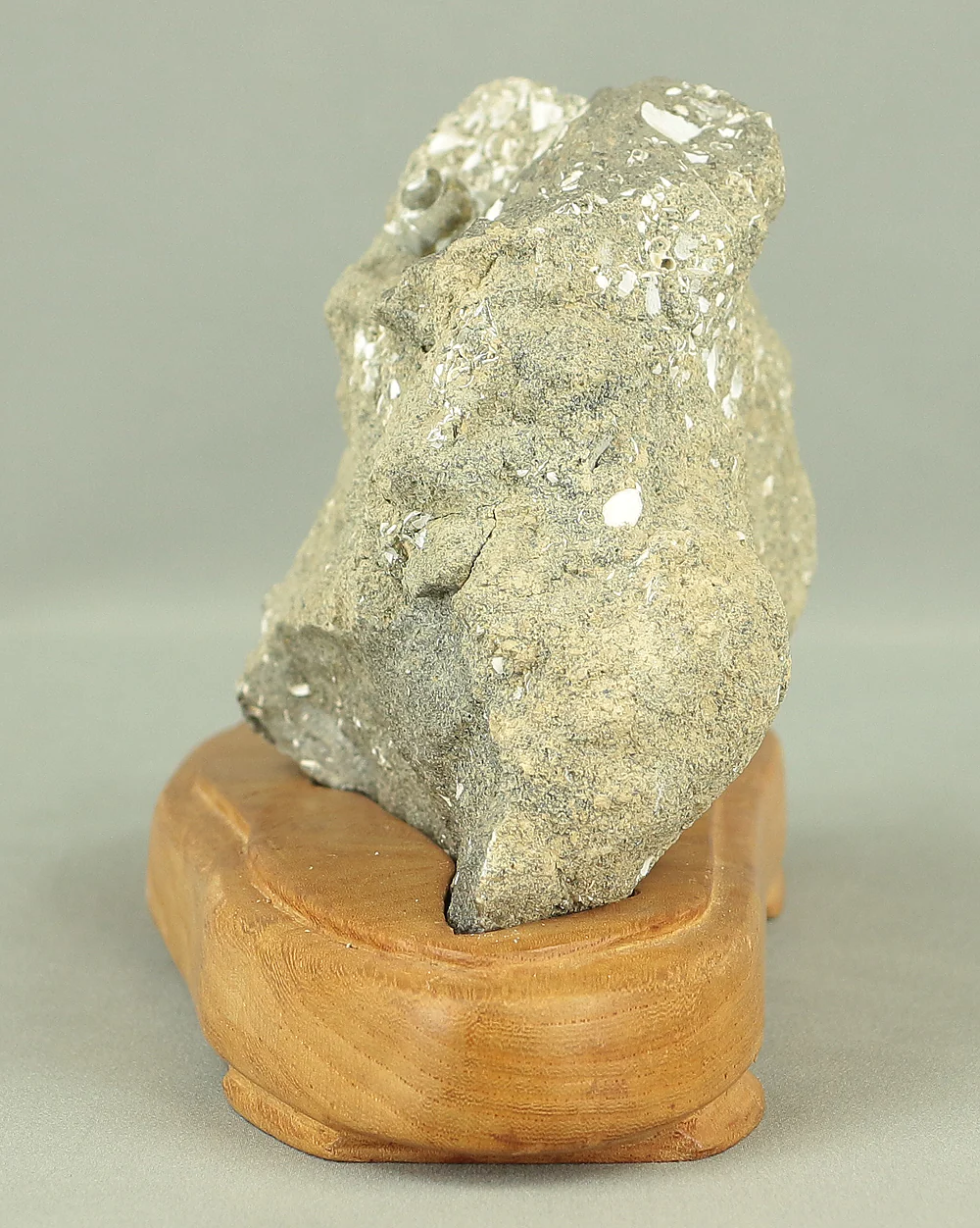 Suiseki - Toki stone Shell fossil with Wooden Stand collected in 1974 VA222 - Image 15