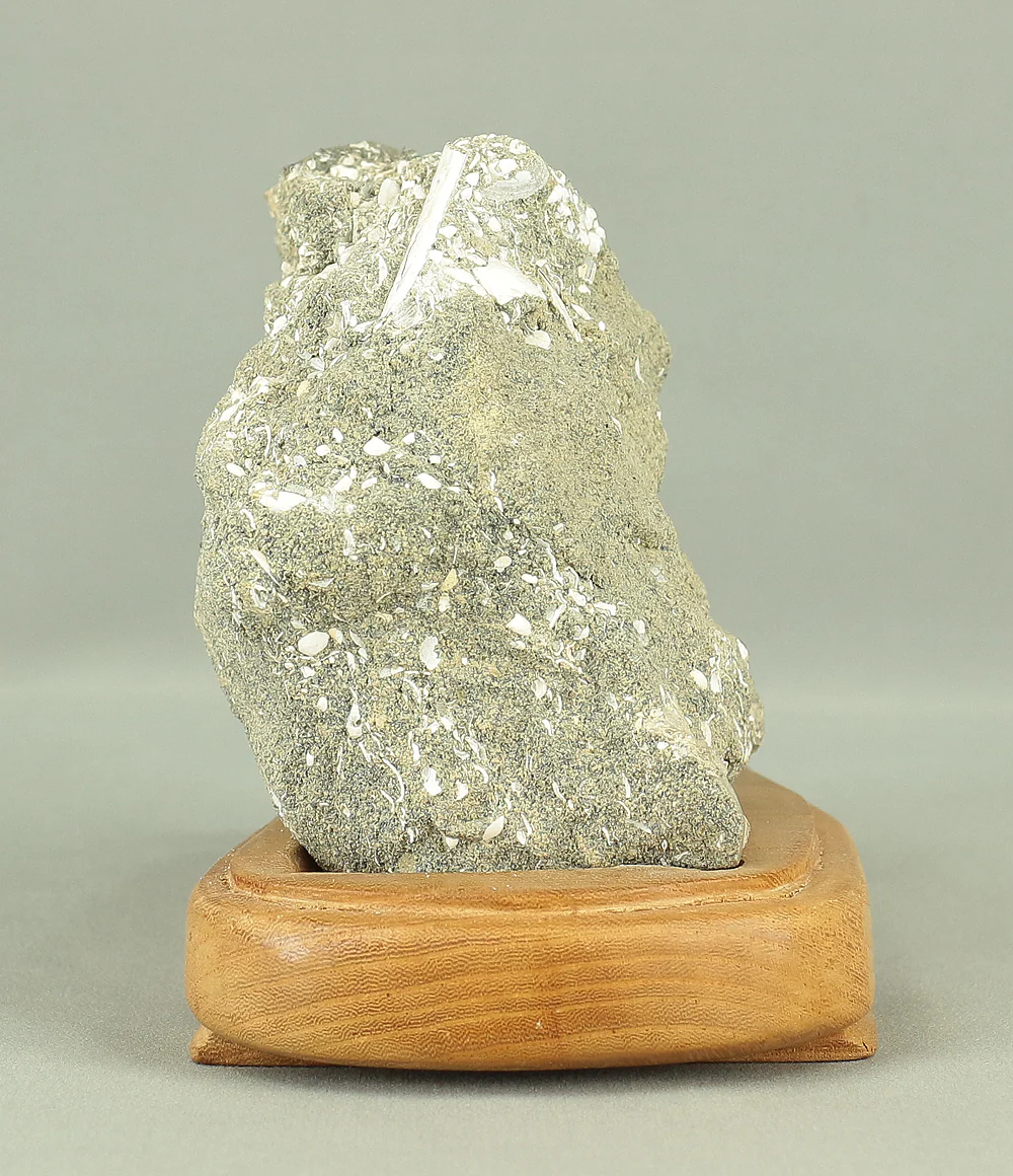 Suiseki - Toki stone Shell fossil with Wooden Stand collected in 1974 VA222 - Image 8